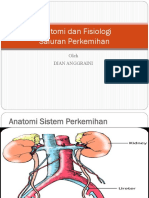 Anatomi Dan Fisiologi Urologi