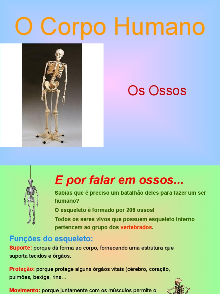 Os Ossos Ppt 4º Ano Pdf Osso Esqueleto