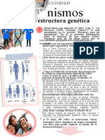 Estructura Genética: Nismos