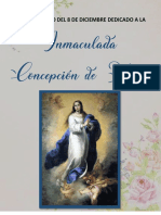 Rosario A La Inmaculada Concepcion