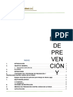PROGRAMA DE PREVENCION Y PROTECCION CONTRA CAIDAS EN ALTURA Rev FEPB