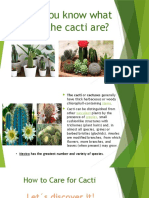 Take Care For Cacti