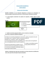 Orientaciones Evaluación Diagnóstica 6TO GRADO NATURALES