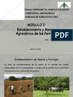 Establecimiento y Manejo Agronómico de Forrajes