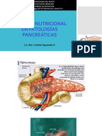 CUIDADO NUTRICIONAL EN PATOLOGÃ AS PANCREATICAS-Clase Virtual