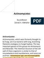 Actinomycetes: by Professor Zainab A. Aldhaher