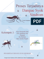 Proses Terjadinya: Dangue Syok Sindrom