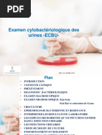 Guide sur l'ECBU et ses techniques | PDF | Appareil urinaire | Urine