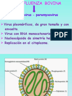 139754412-PARAINFLUENZA-BOVINA