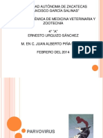 pdf-parvovirus-canino_compress