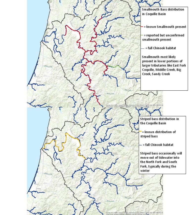 SMB Striped Bass Distribution Coquille PDF