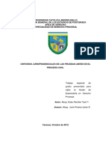 Criterios Jurisprudencionales de Las Pruebas en Venezuela