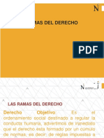 Ramas Del Derecho PDF