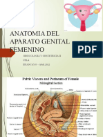 Anatomia Del AP Genital 2021