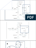 Process Flow Diagram of Polyethlene For Feeding Process