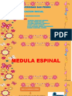 MEDULA ESPINAL - Juana