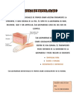 Quemaduras