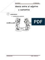 Concordancia Entre El Adjetivo y Sustantivo