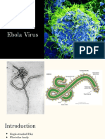 Ebola Virus