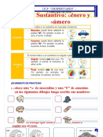 El Sustantivo Género y Número - Comunicación - 16.05.22