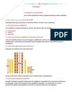 Construimos Formas Geométricas en Familia Haciendo Uso de Normas