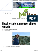 Nopal Forrajero, Un Súper Alimento para El Ganado - Periódico Mi Tierra