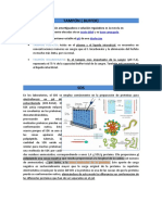 Tampón Buffer SDS