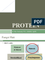 Metabolisme Protein-22032022