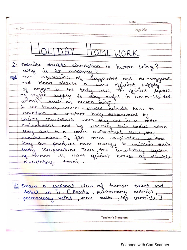 class 10 biology holiday homework