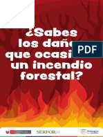 Incendios Forestales