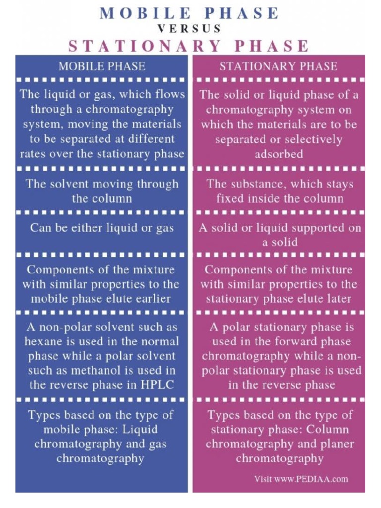 What Is Chromatography PDF