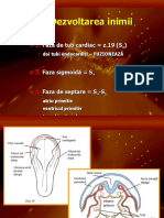 7 Embriologie 4 Cardiovascular 1