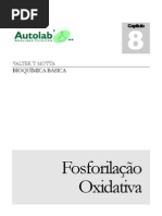 24601221 Fosforilacao Oxidativa Cap 08