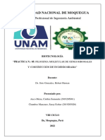 Practica N 05 - Filogenia Molecular de Genes Ribomales y Construcción de Un Dendograma