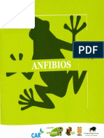 Anfibios