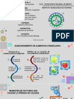 Almacenamiento de Alimentos Congelados