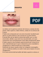 BB LIPS CON DERMAPEN PDF