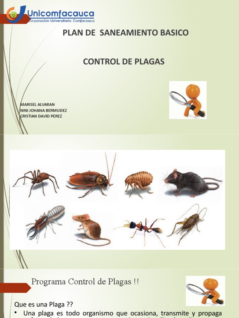 Plan de Control de Plagas y Saneamiento | PDF | Plaga (organismo) | Malaria