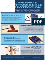 Mecanismos Constitucionales de Proteccion