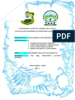 Practica 6 Micro I Aislamiento Por Eniquecimiento