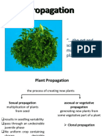 Micropropagation: " The Art and Science of Multiplying Plants in Vitro."