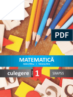 Culegere - Matematica - Clasa 1