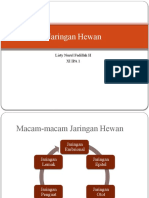 Jaringan Hewan