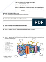 Tarea 1-Semana 2-CC Nn-Membrana Plasmatica