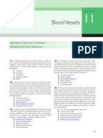 Blood Vessels Blood Vessels