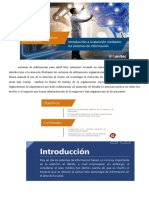 Polimedia 2.1 Introducción A La Atención Mediante Los Sistemas de Información