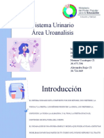 Sistema Urinario Diapositivas