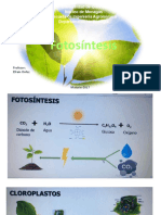 Fotosintesis Diapositiva