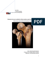 Estimación de Sexo en Población Chilena Moderna A Partir Del Fémur Proximal