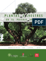 plantas_silvestres-lion19-